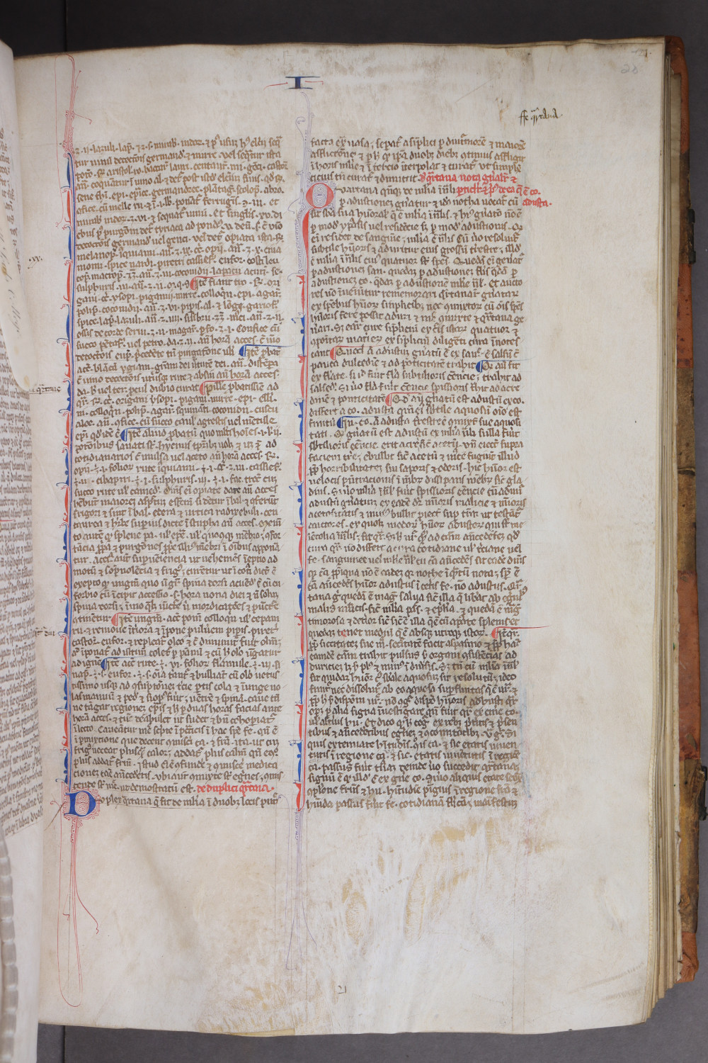 Folio 20 recto